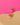 Aster Bloom Studs - Kimikii Jewellery