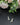 Emerald and Pearl Butterfly Silver Earrings - Kimikii Jewellery
