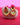 Golden Grace Earrings - Kimikii Jewellery