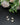 Golden Zirconia and Shell double Butterfly Stud Earrings - Kimikii Jewellery