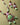 Mint Majesty Pendant Set - Kimikii Jewellery