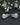 Rhodium Plated AD Pearl Backdrop Earrings - Kimikii Jewellery