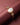 Pearl Twinkling Treasure Bracelet - Kimikii Jewellery