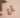 Shachi Pink Earrings - Kundan & Pearl Richness - Kimikii Jewellery