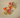 Spring Bloom Studs - Kimikii Jewellery